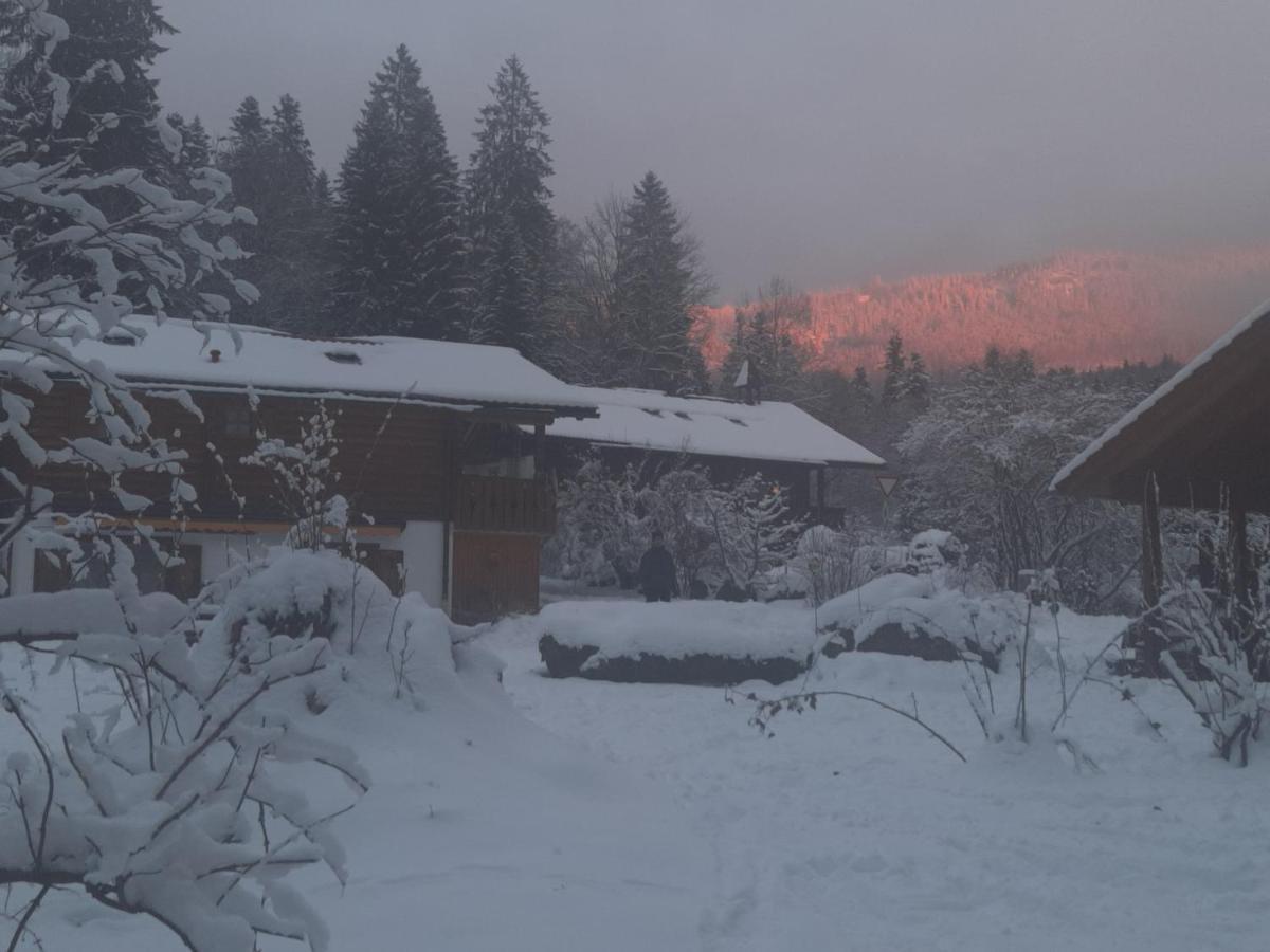 Hüttenzauber Ferienwohnung mitten im Nationalpark Lindberg Exterior foto