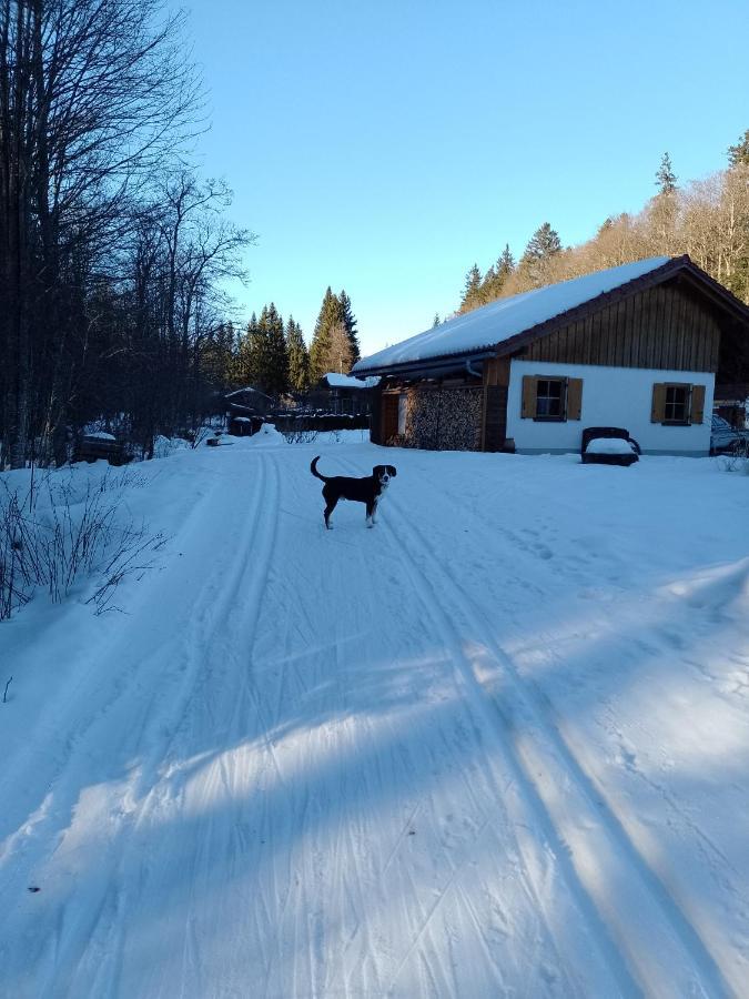 Hüttenzauber Ferienwohnung mitten im Nationalpark Lindberg Exterior foto