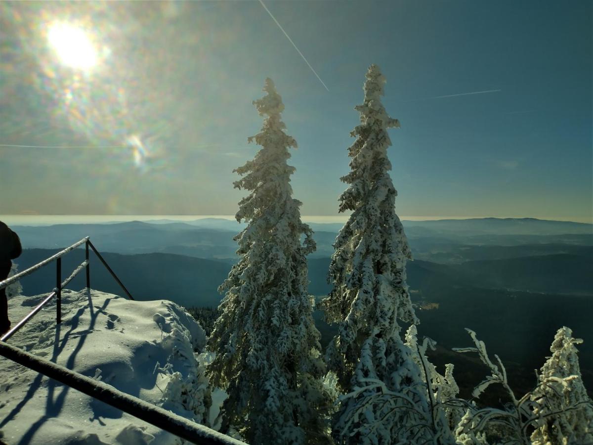 Hüttenzauber Ferienwohnung mitten im Nationalpark Lindberg Exterior foto