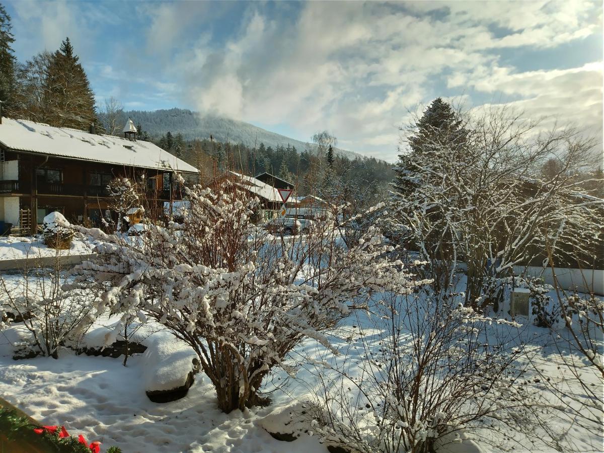 Hüttenzauber Ferienwohnung mitten im Nationalpark Lindberg Exterior foto